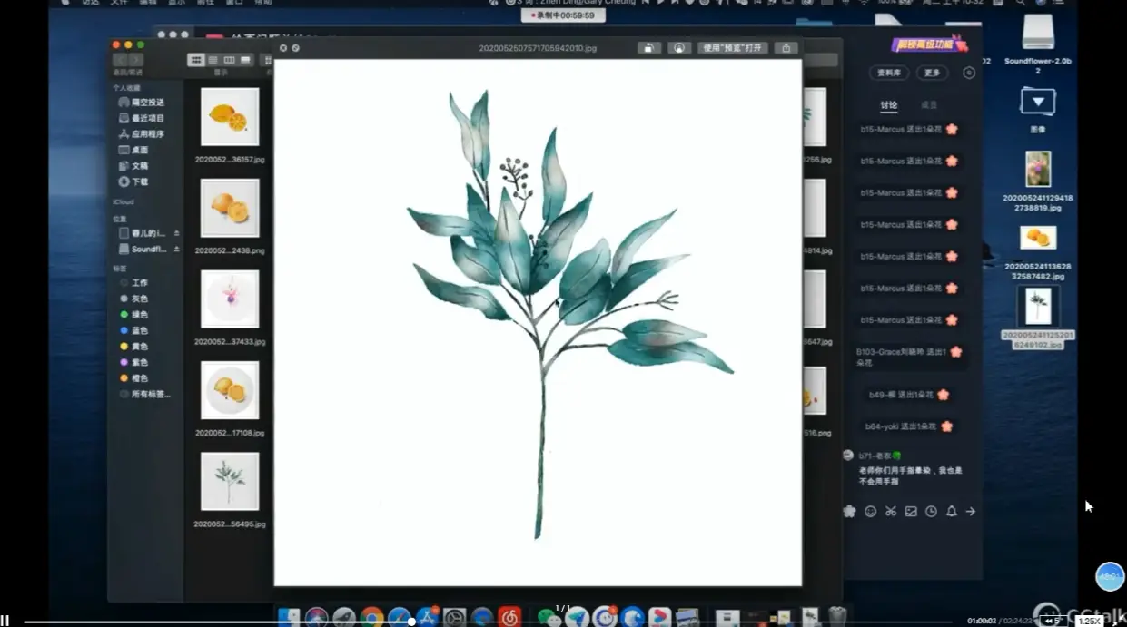 水彩水果花卉插画procreate基础教程