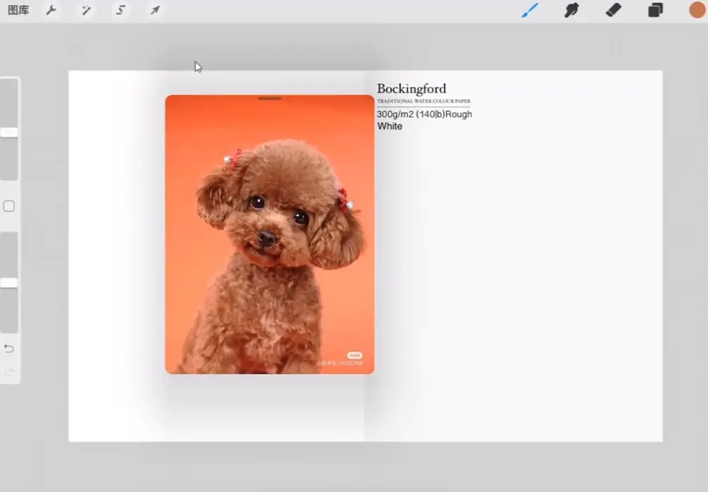 水彩萌宠procreate绘画大师教程