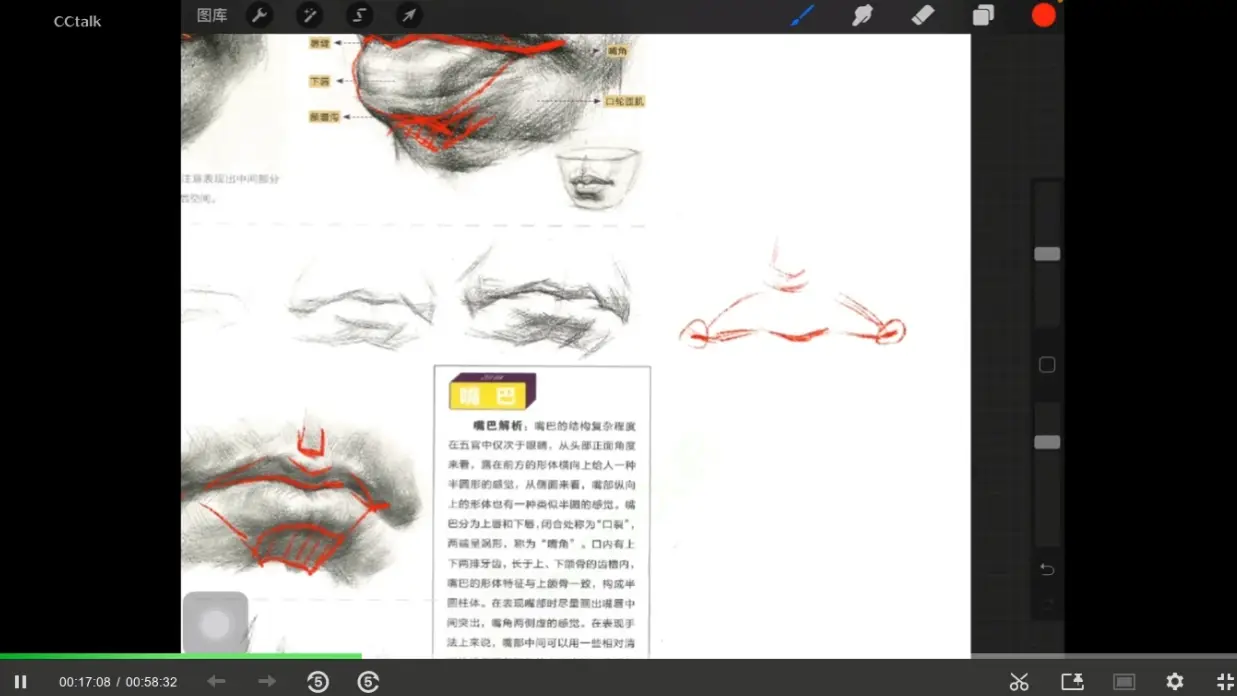 照片转手绘头像procreate绘画大师教程