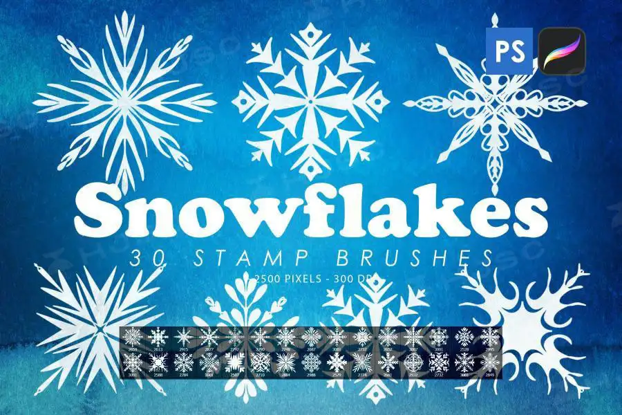 冬季主题雪花图案装饰花纹PS笔刷