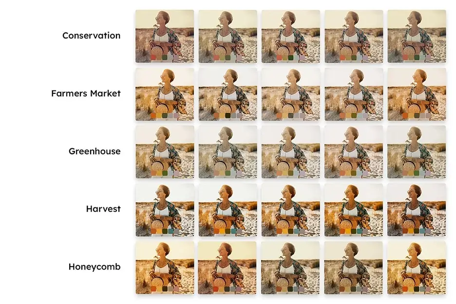 复古电影人像芦荟蜂蜜色照片视频调色LR预设LUT预设