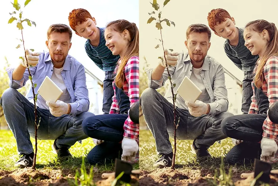 复古电影人像芦荟蜂蜜色照片视频调色LR预设LUT预设