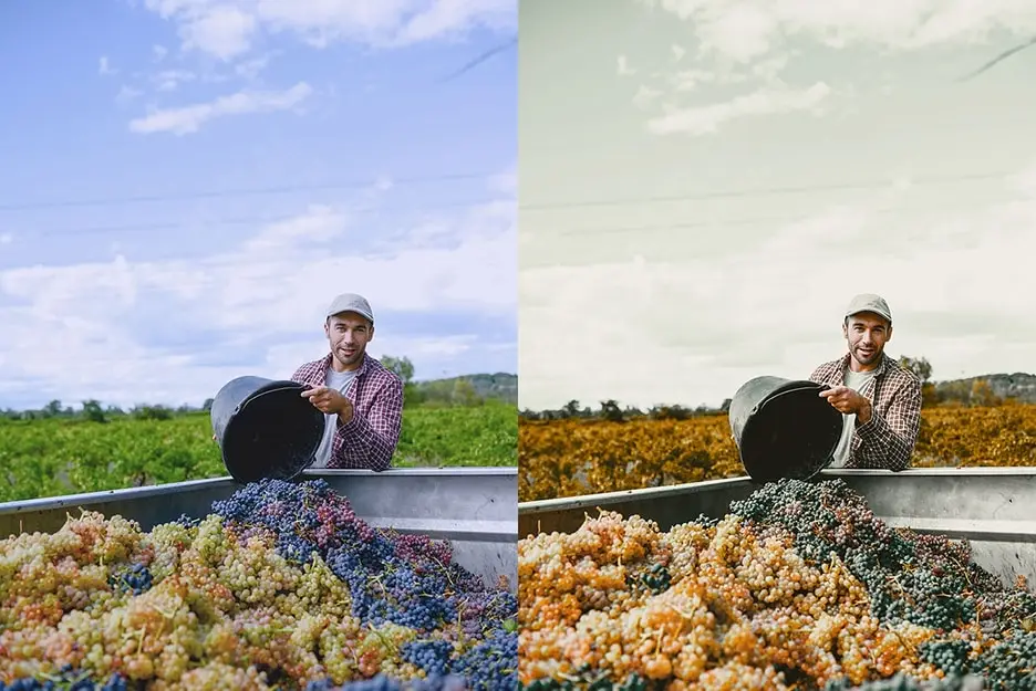 复古电影人像芦荟蜂蜜色照片视频调色LR预设LUT预设