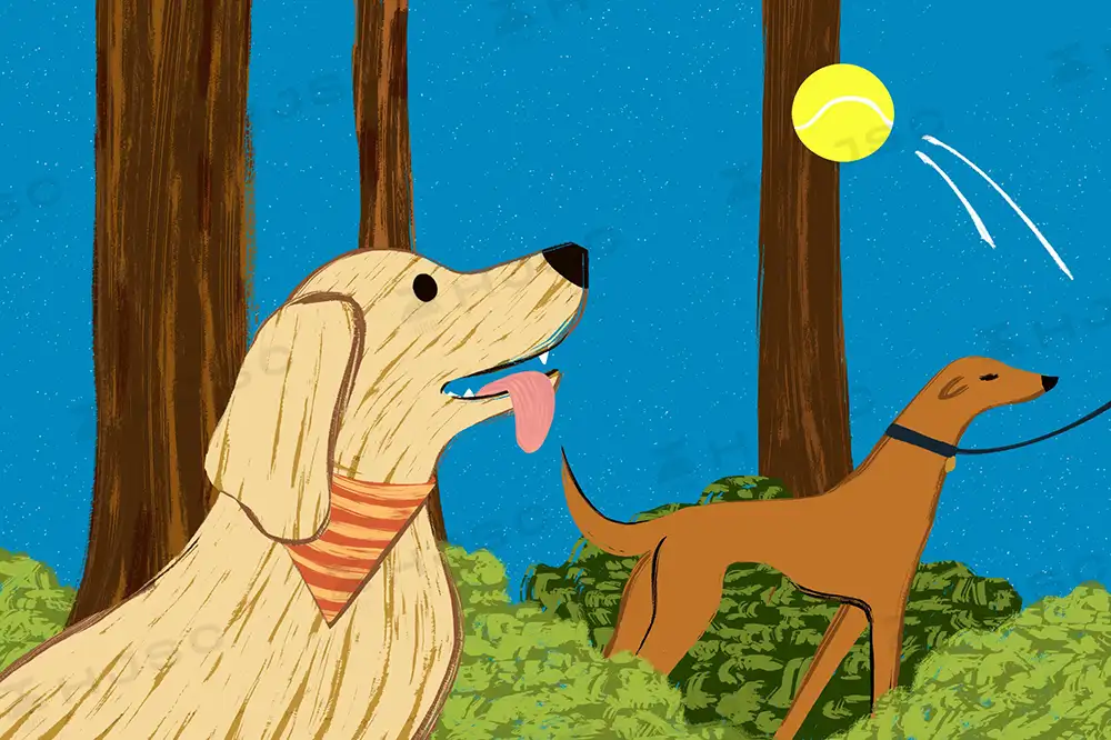 笔刷可爱卡通趣味儿童插画线条颗粒纹理马克笔涂鸦全套