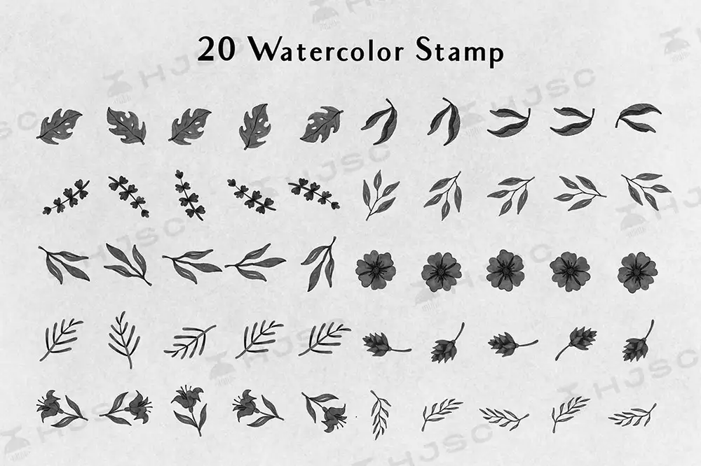 植物树叶笔刷手绘小清新水彩叶子花卉花朵花花procreate笔刷