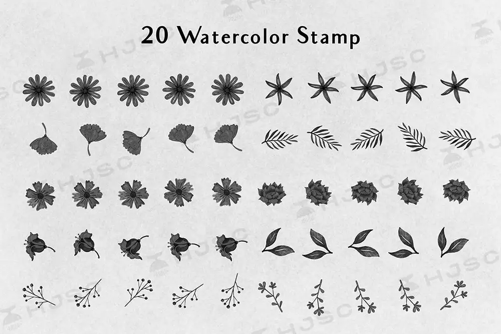 植物树叶笔刷手绘小清新水彩叶子花卉花朵花花procreate笔刷