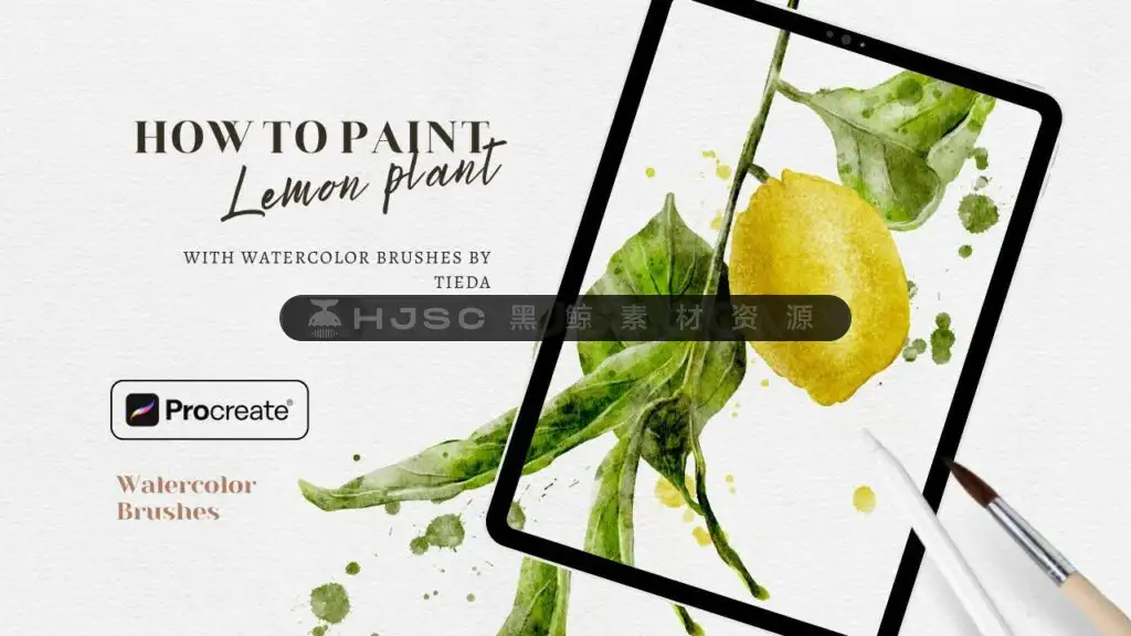 真实质感水彩笔刷纸张肌理纹理湿画水痕晕染色卡全套procreate笔刷