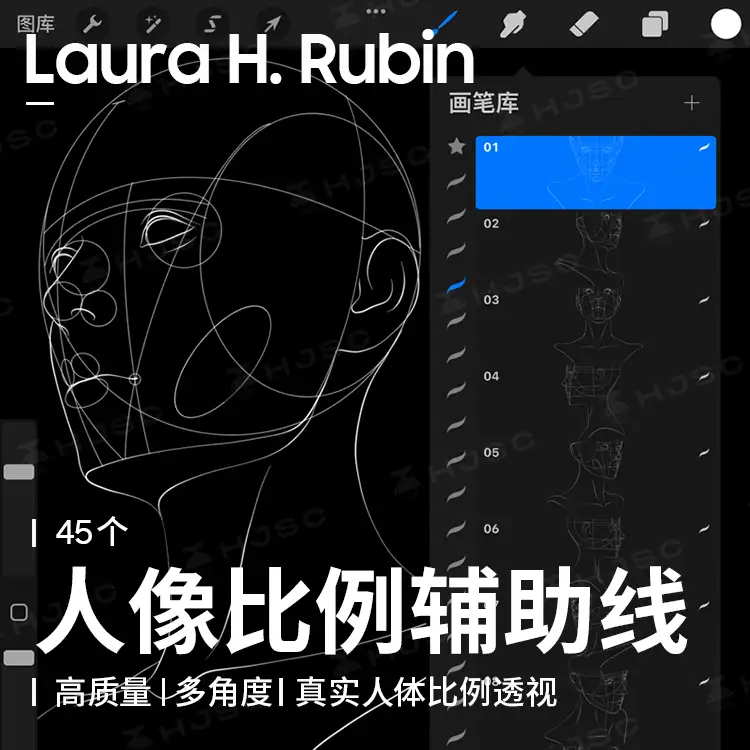 Laura H. Rubin全套人像皮肤头发色卡绘画procreate笔刷
