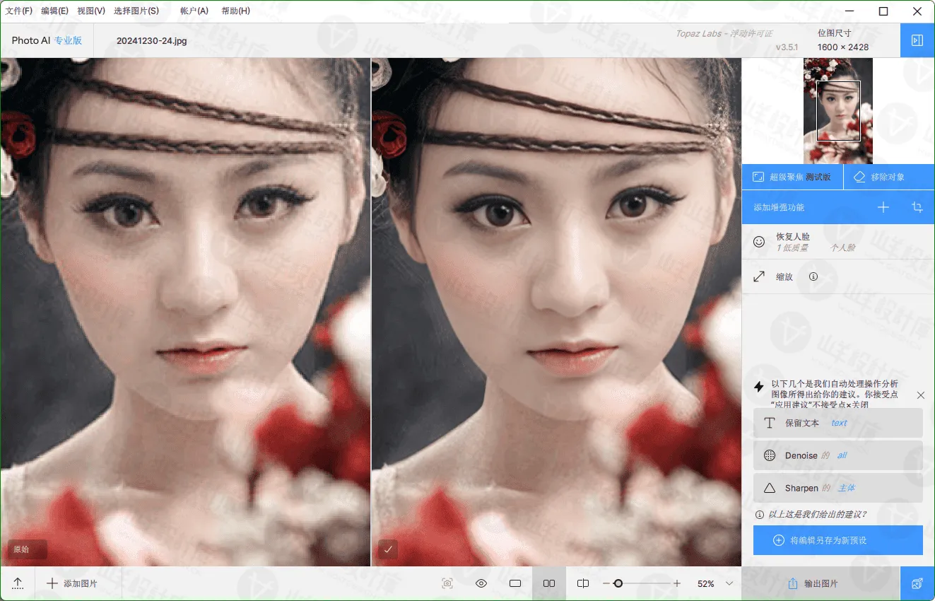 Topaz Photo Pro汉化破解版