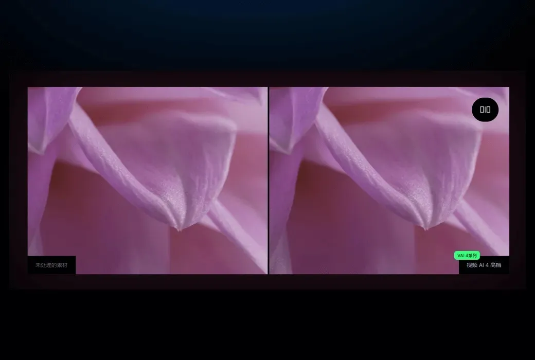 Topaz Video 中文破解版