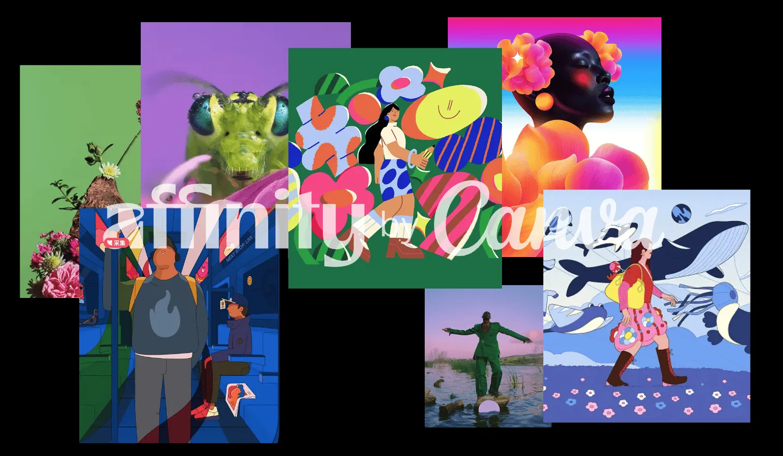 免费设计3合1工具 Affinity Studio 3.0 免登录中文版