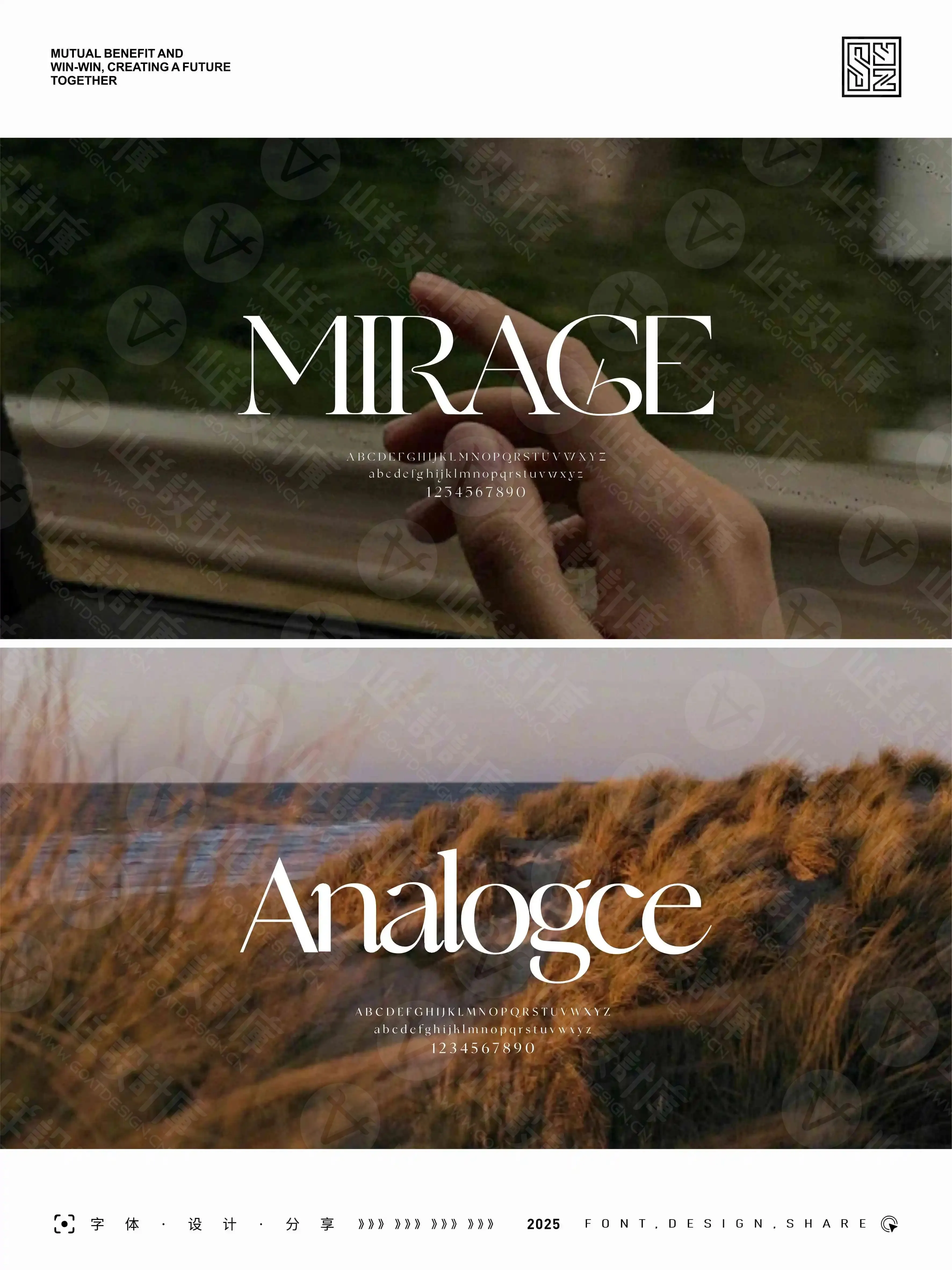 优美而雅的14款美式英文衬线字体 · 14款英文字体