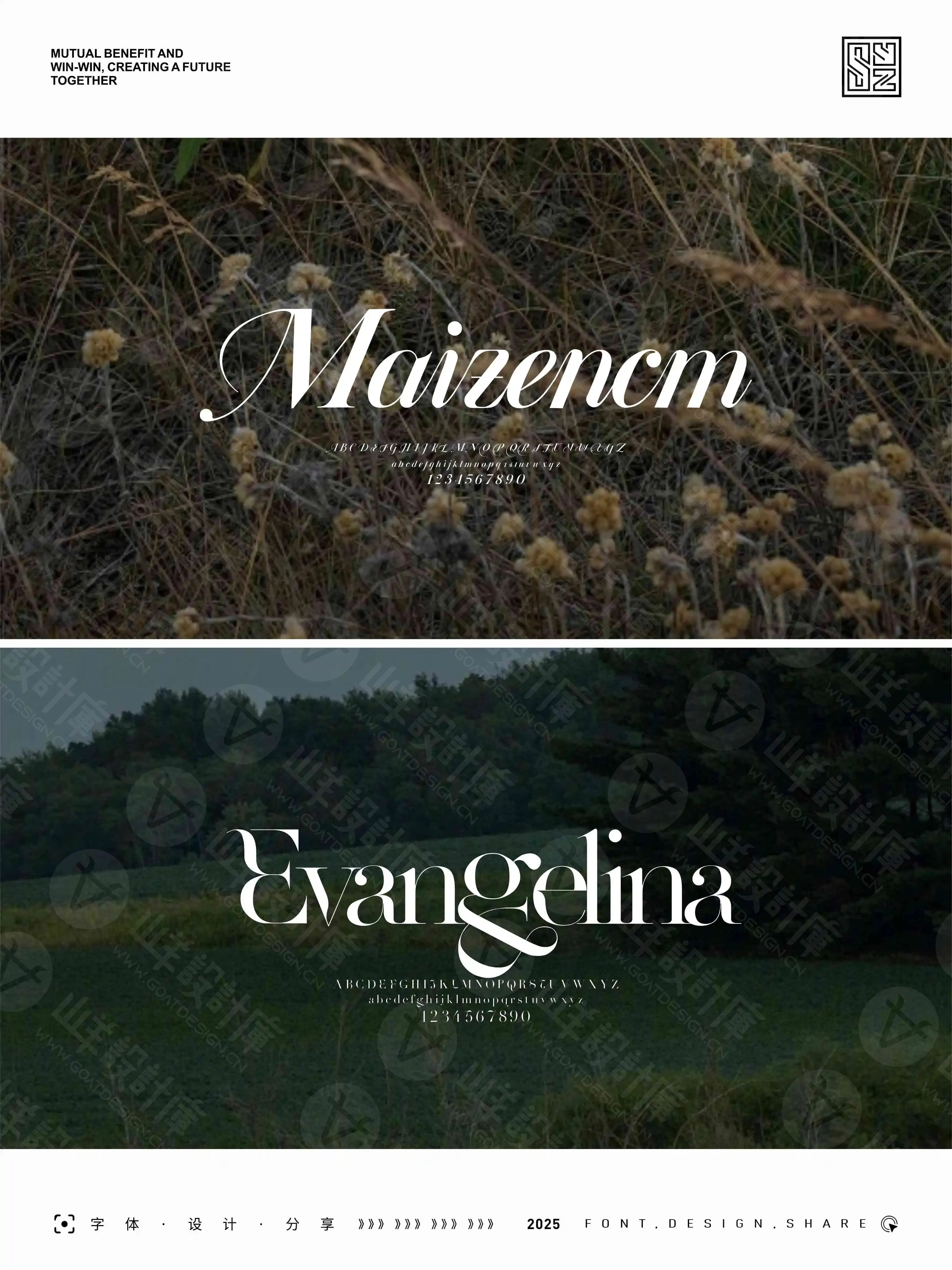 优美而雅的14款美式英文衬线字体 · 14款英文字体