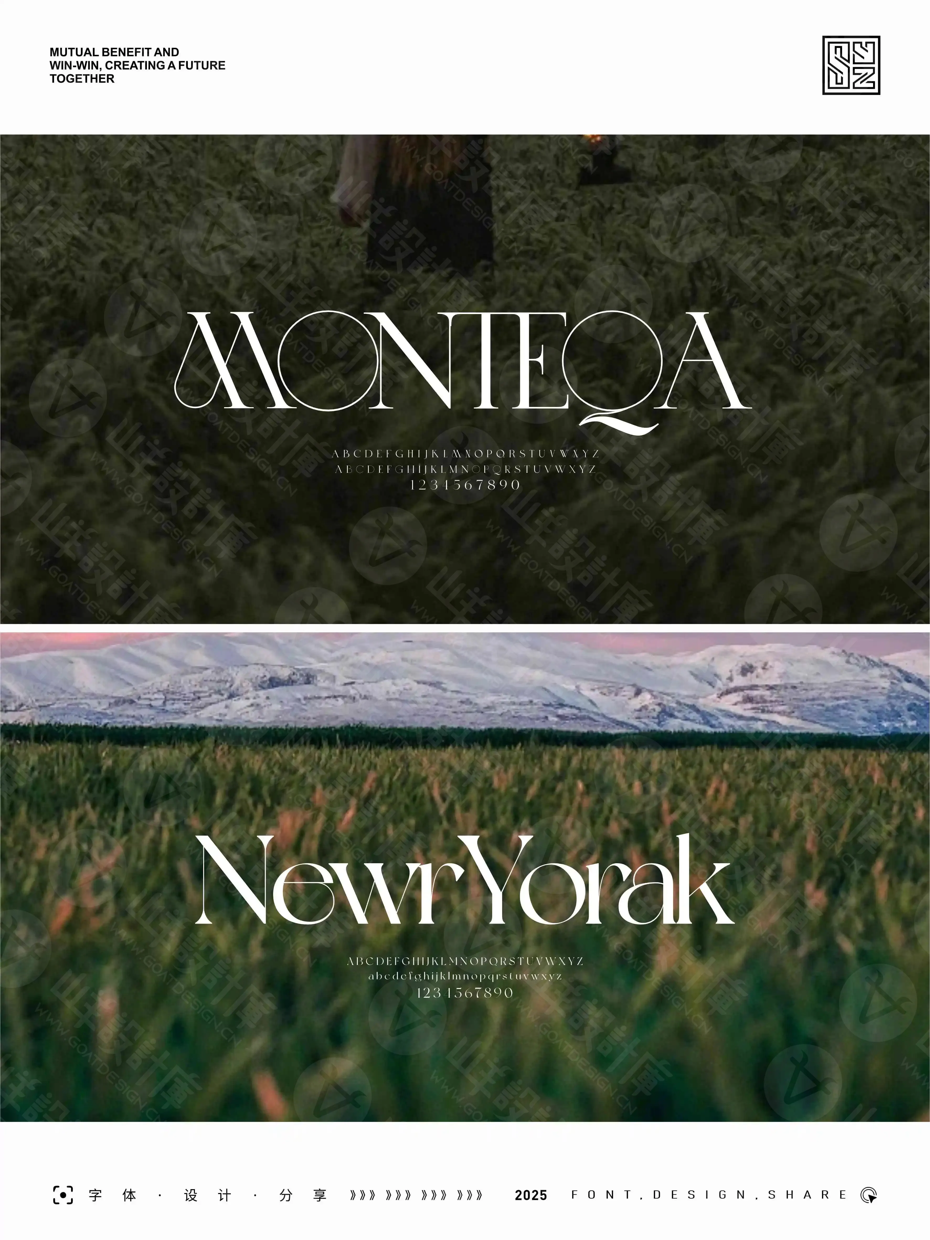 优美而雅的14款美式英文衬线字体 · 14款英文字体