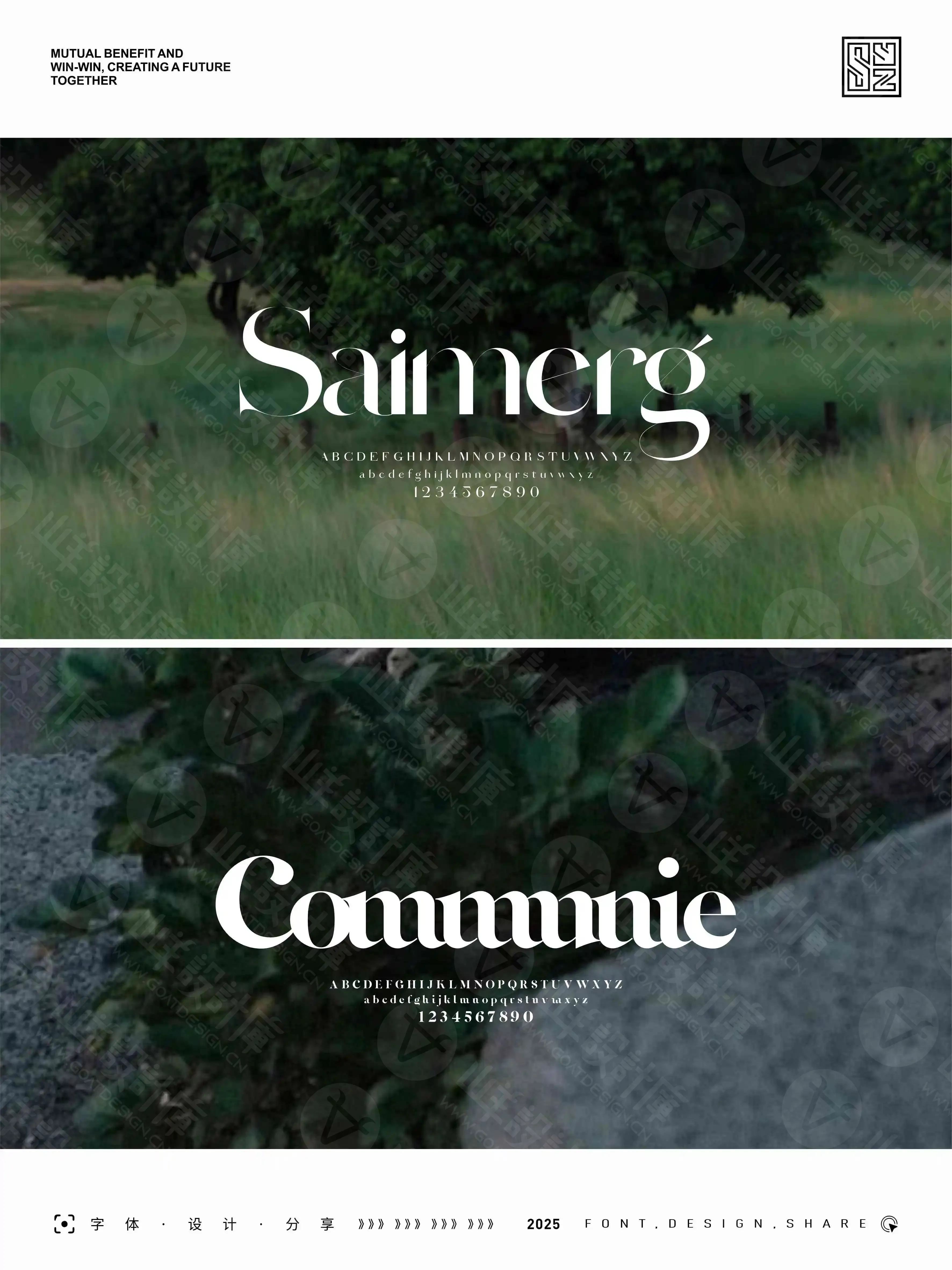 优美而雅的14款美式英文衬线字体 · 14款英文字体