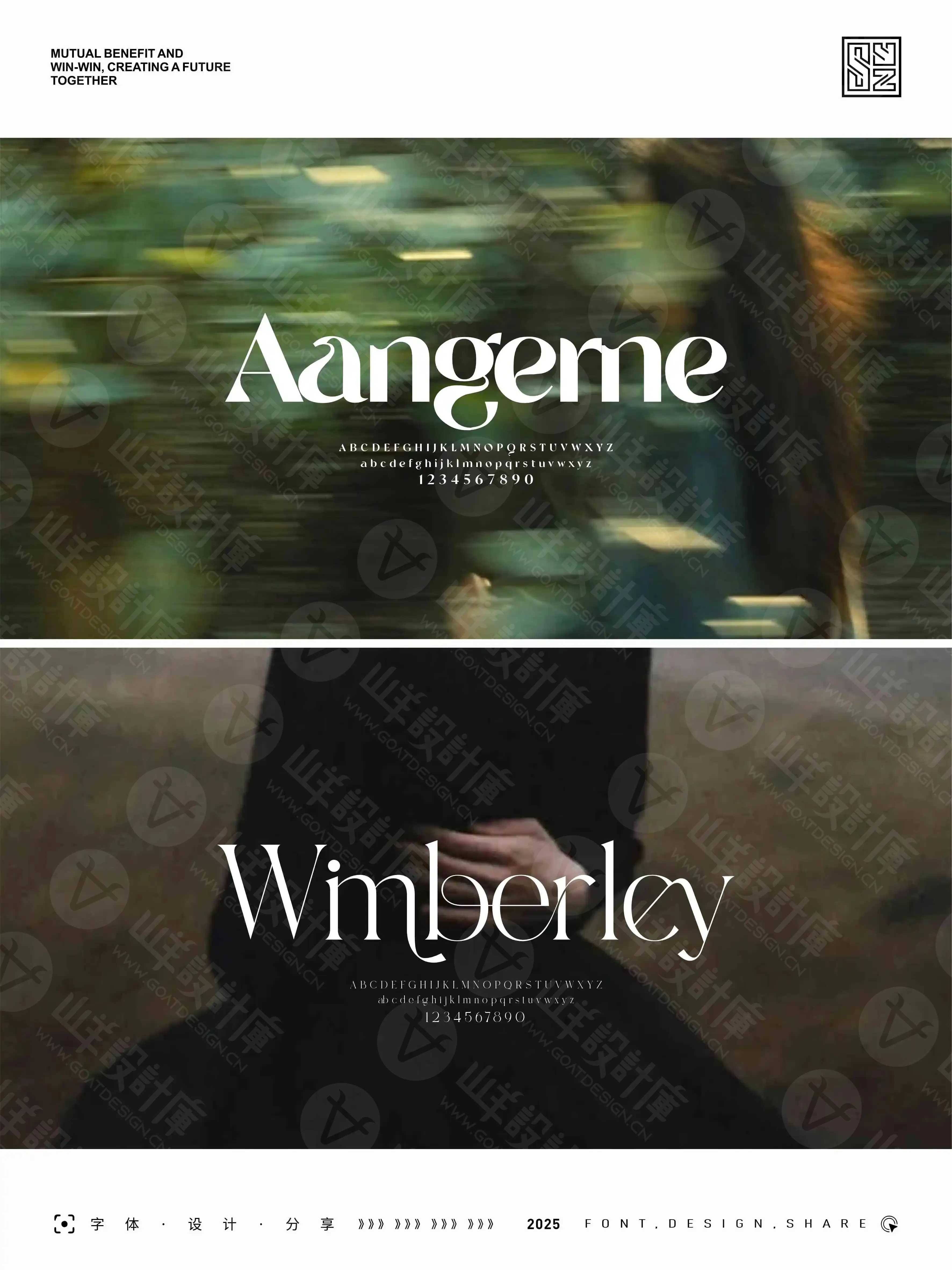 优美而雅的14款美式英文衬线字体 · 14款英文字体