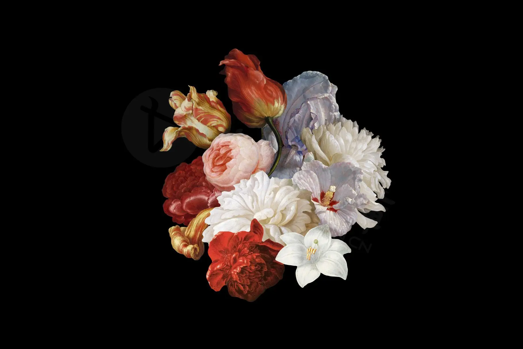 复古油画质感宫廷花卉植物花朵鲜花拼贴图案PNG免抠图片设计素材