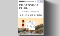 Photoshop调色神器 Franzis LUT #1 professional 中文汉化版