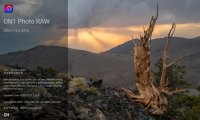 专业摄影图像处理软件 ON1 Photo RAW MAX 2025 中文破解版