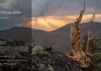 专业摄影图像处理软件 ON1 Photo RAW MAX 2026.4.20 中文破解版