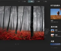 AI人像修图瘦身美白 Skylum Luminar AI 1.5.5 中文破解版