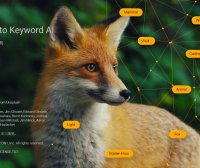 图片AI搜索管理 ON1 Photo Keyword AI 2023.5 17.5.1 中文破解版