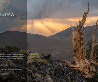 专业摄影图像处理软件 ON1 Photo RAW MAX 2025 中文破解版