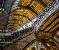 照片滤镜处理 ON1 Effects 2024 18.5.1 中文破解版