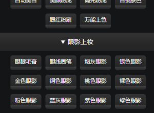 PS黑作坊 美妆大师(美颜润肤) 加强版插件