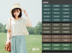 日韩调色风格PS扩展面板 调色集装箱 中文版