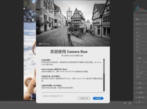 ACR滤镜PS增效工具 Camera Raw 系列软件