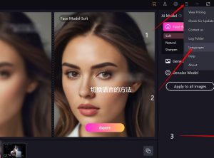 AI照片增强软件 FliFlik KlearMax for Photo 2.0  中文版