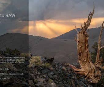 专业摄影图像处理软件 ON1 Photo RAW MAX 2025 中文破解版