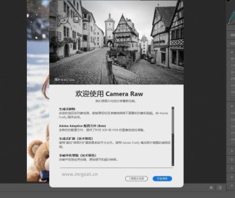 ACR滤镜PS增效工具 Camera Raw 系列软件