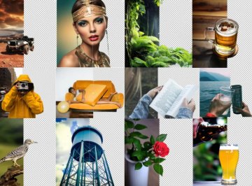 自称最强一键抠图工具 BRIA-RMBG 离线AI大模型