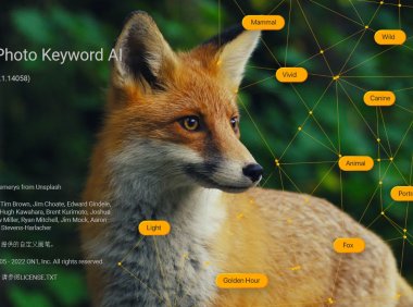 图片AI搜索管理 ON1 Photo Keyword AI 2023.5 17.5.1 中文破解版