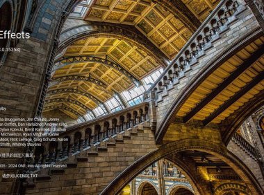 照片滤镜处理 ON1 Effects 2024 18.5.1 中文破解版