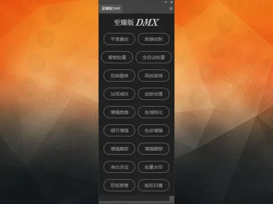 一键批量修图PS扩展面板滤镜 DMX至臻版 中文版
