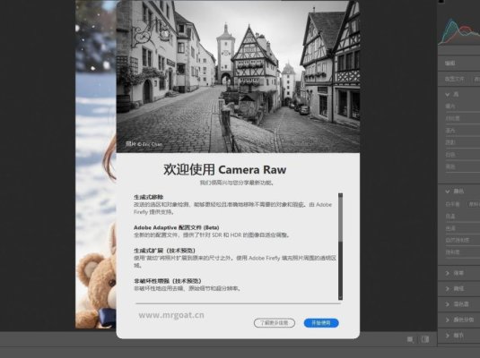 ACR滤镜PS增效工具 Camera Raw 系列软件