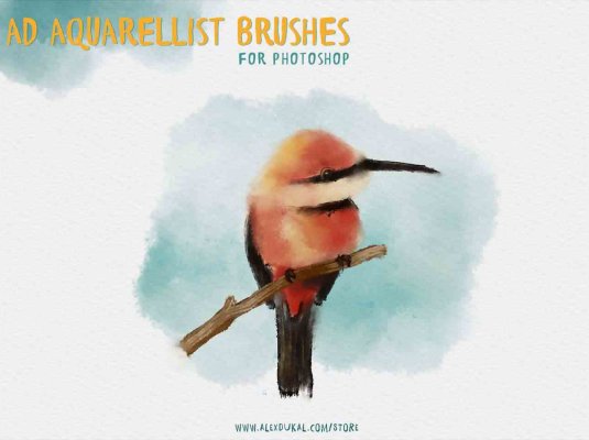 一套水墨彩色水画风格PS笔刷