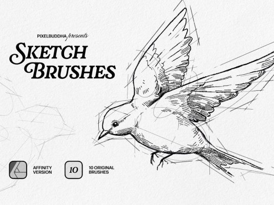 亲和力素描风格样子PS笔刷