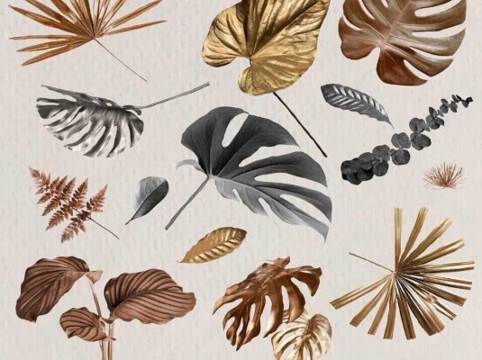 矢量水彩手绘室内植物叶插画