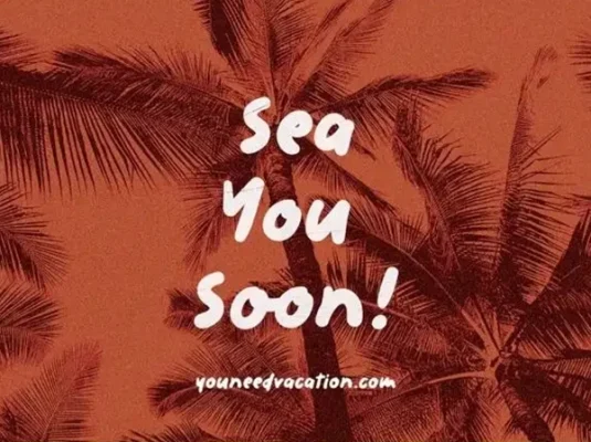 清新vlog手写海报特色英文字体下载