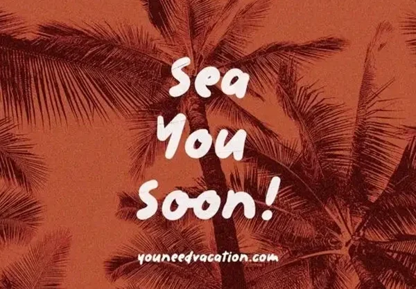 清新vlog手写海报特色英文字体下载