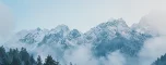 海报展板