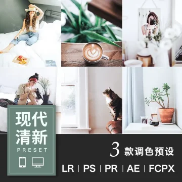 现代清新调色LR预设摄影后期户外调色PS/PR/AE/LUT/FCPX人像滤镜