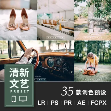 清新文艺LR预设人像写真后期调色滤镜PR/PS/FCPX/达芬奇/AE/Lut