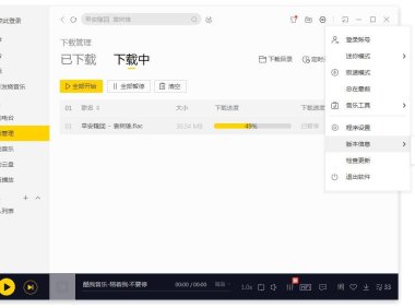 酷我音乐 9.1.1.9  去广告VIP会员破解版