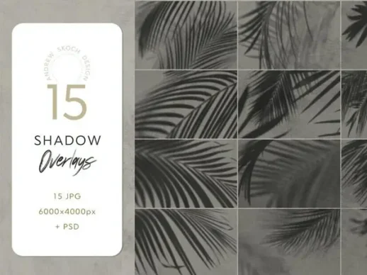 树叶叶子阴影投影背景底纹纹理