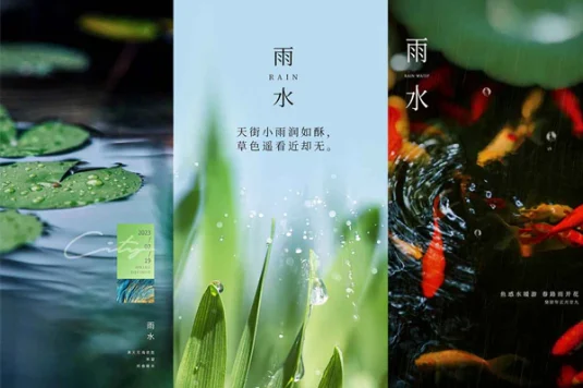 吊旗二十四节气雨水海报PSD模版